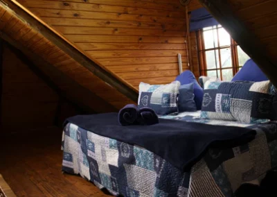 IMG 8676 480x480 - photo gallery