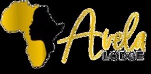 Transparent 160x160@2x -